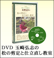 DVD@uʍOȕ̙Ǝdv
